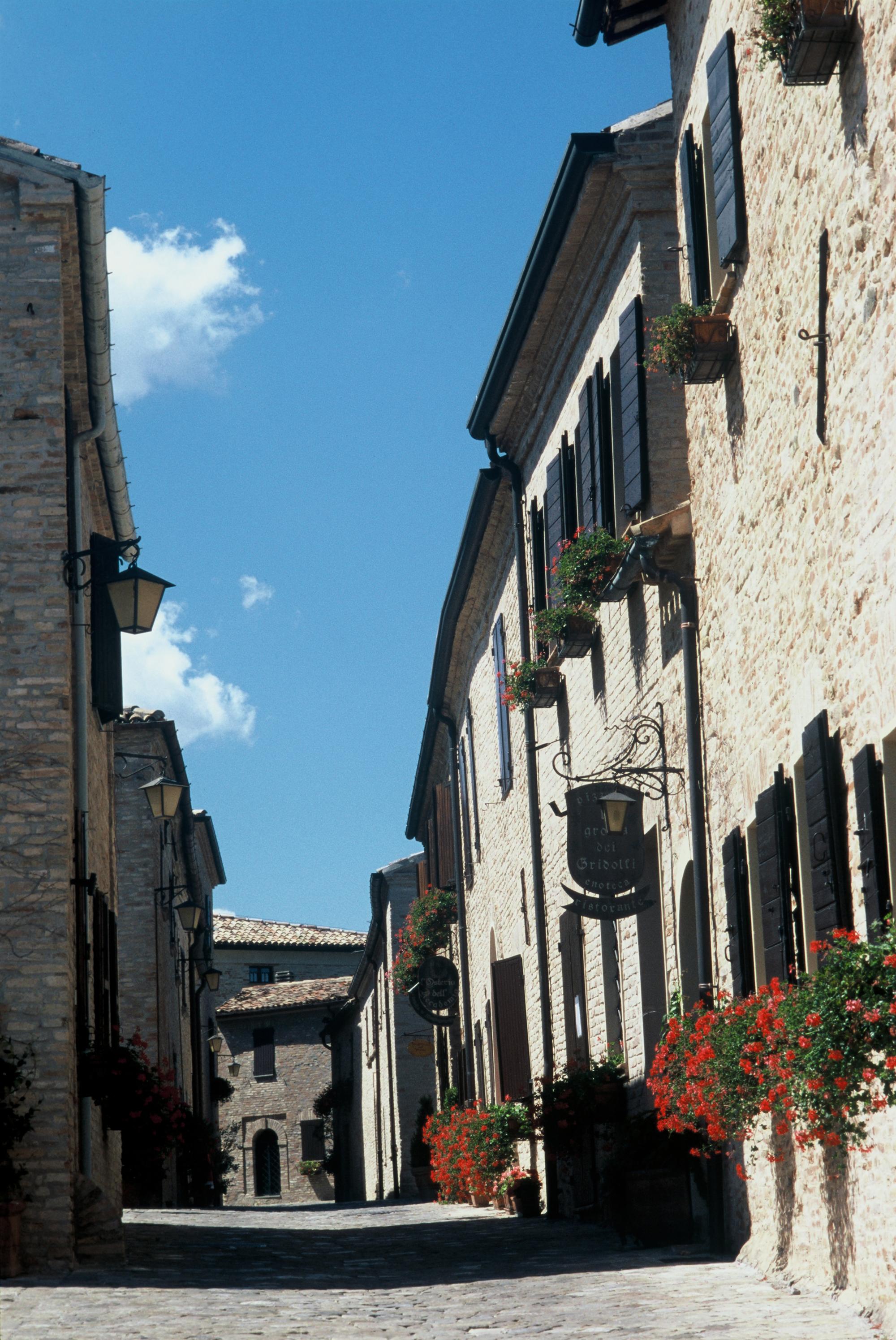 Castello Di Montegridolfo Spa Resort Екстер'єр фото